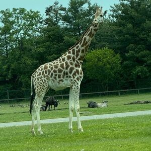 Meet your Posher, Alexa